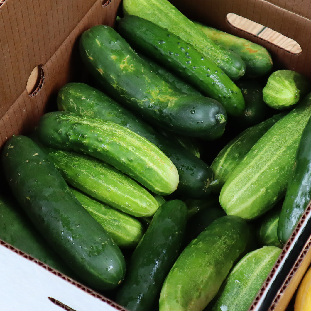 Cucumbers