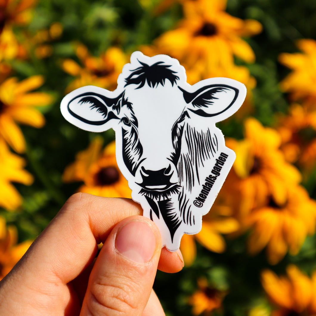 Black Angus Sticker